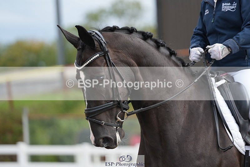 250907-105242-05921 - 039-Claire.RandallUndeclared