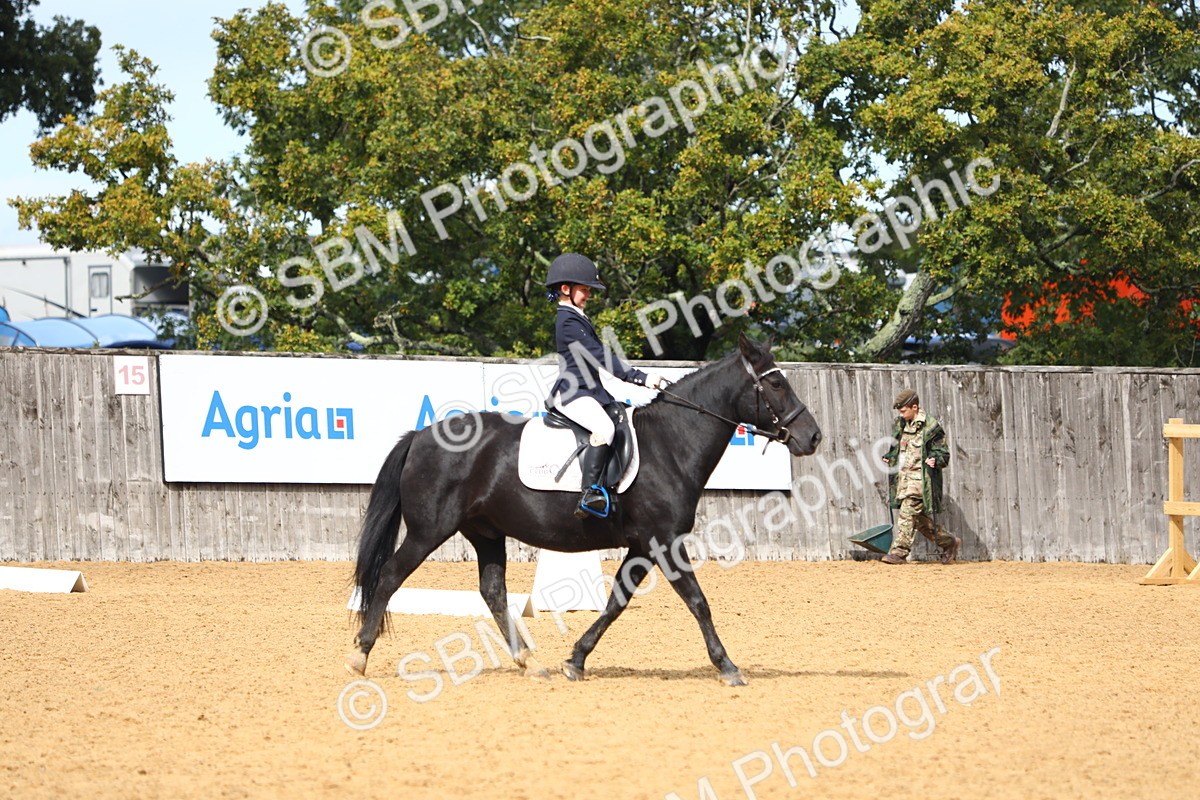 SBM_42613 - D21 - Junior Championship Intro 1