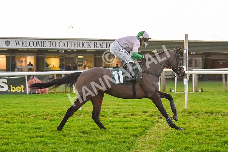 191223-Race 7-Wilful-9611 - Race 7