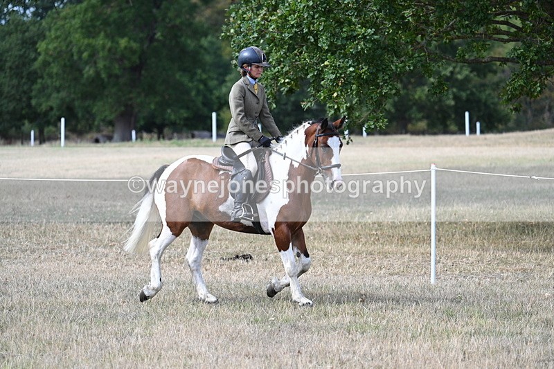 WJ7_7014 - Class 14 Ridden Coloured