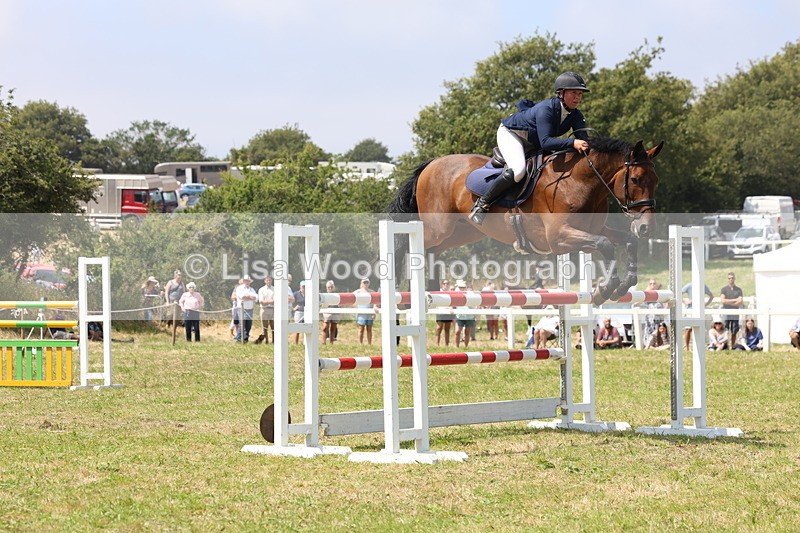3E7A3406 - Class 10: Senior Foxhunter/1.20 open