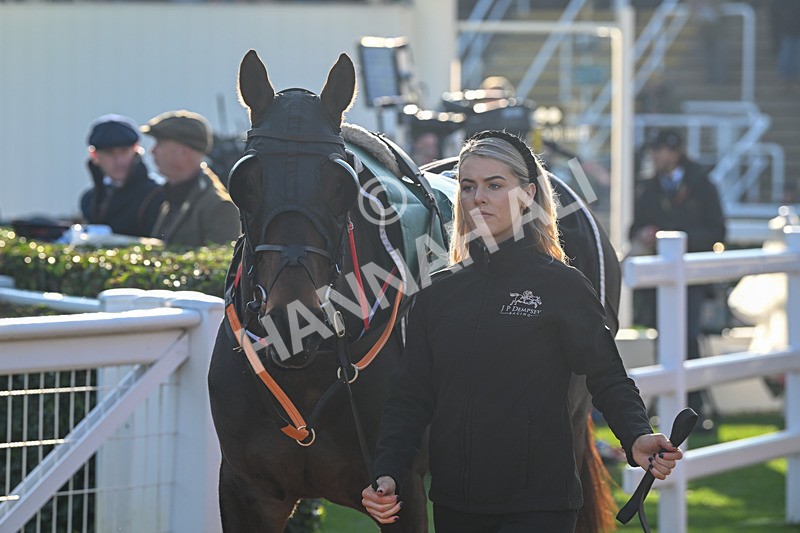 151124-Race 1-Paddock-Clonbury Bridge-7126 - Race 1