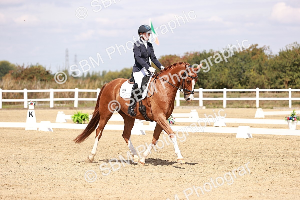 SBM_018434 - Class 17 - Novice 6