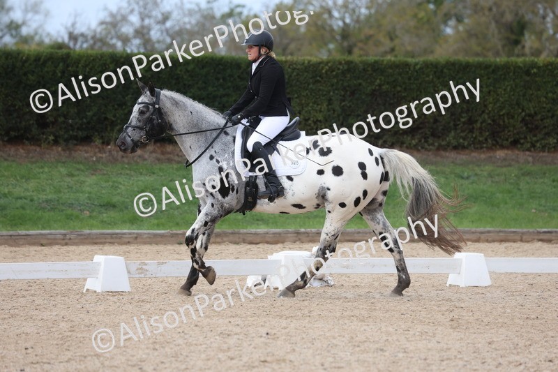 20261010-0708 - Class 6 - Novice 2