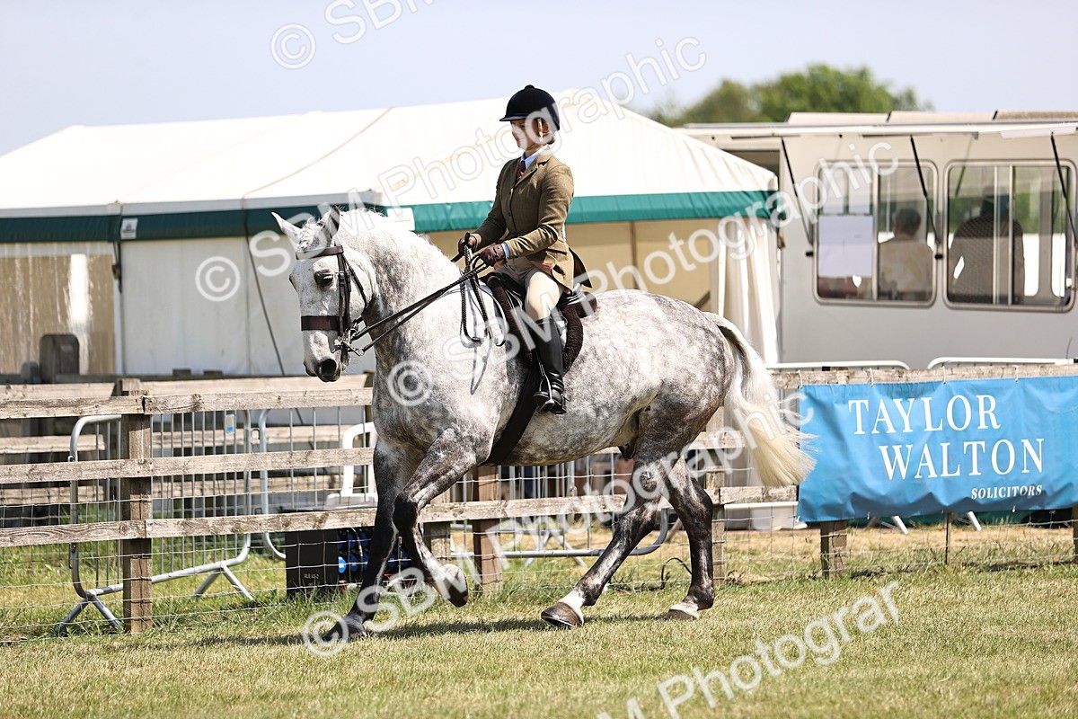 SBM_16107 - Class 79-80 - LIHS BSHA Rising Star Ridden Hunter