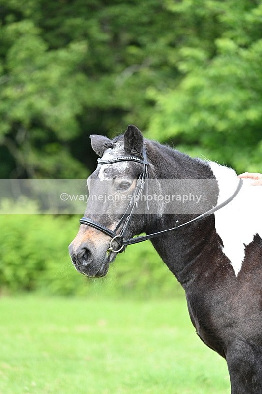 WJ7_1655 - Class 11 Condition & Turnout