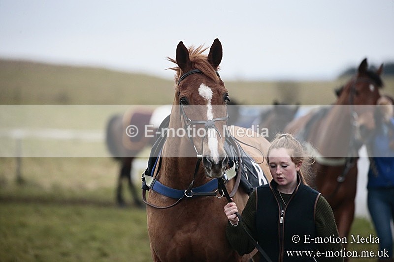 PtP 180218 309 - Combined Services Point-to-Point Larkhill 18/02/18