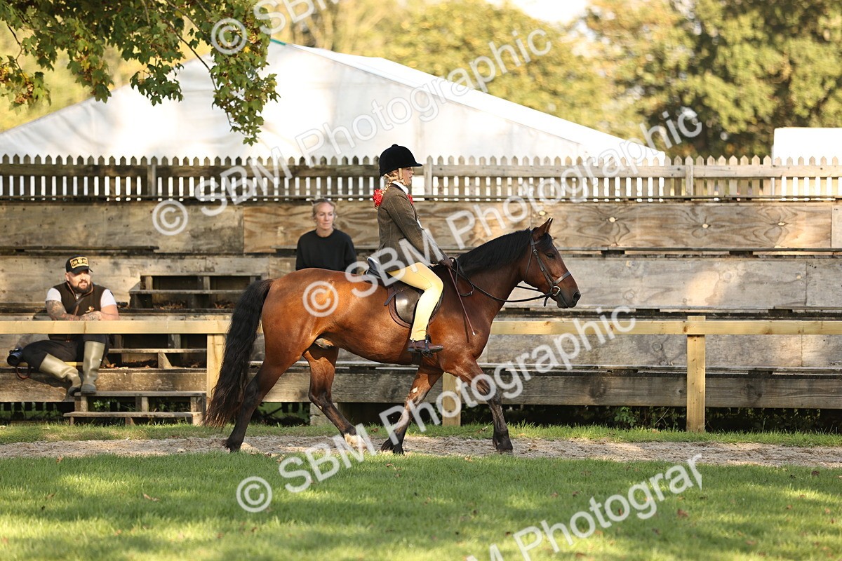 SBM_29400 - S7 - Novice & Newcomers Ridden Pony