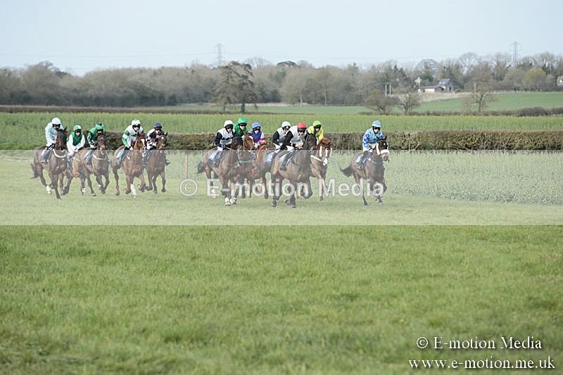 PtP 230319 401 - VWH Hunt Siddington Point-to-Point Racing 23/03/19