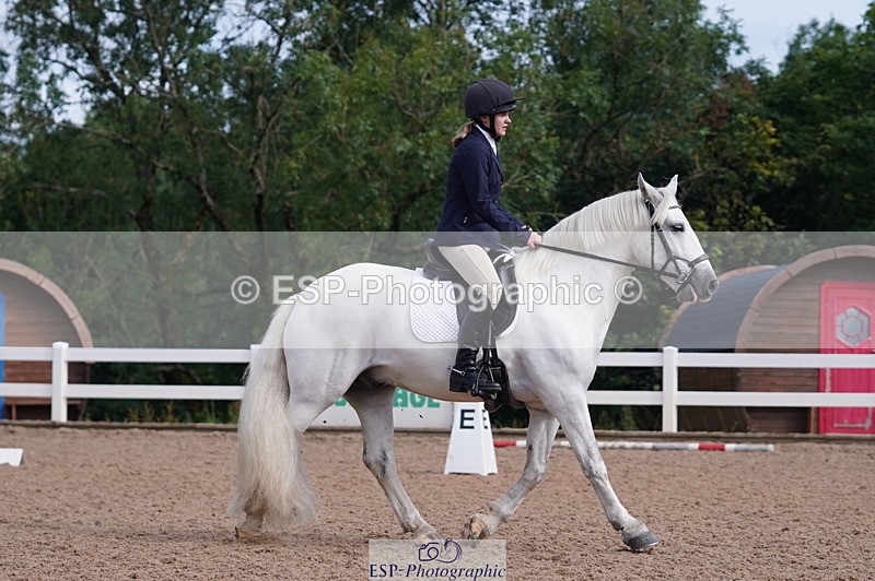 240809A-093448-00289 - Dressage Competition
