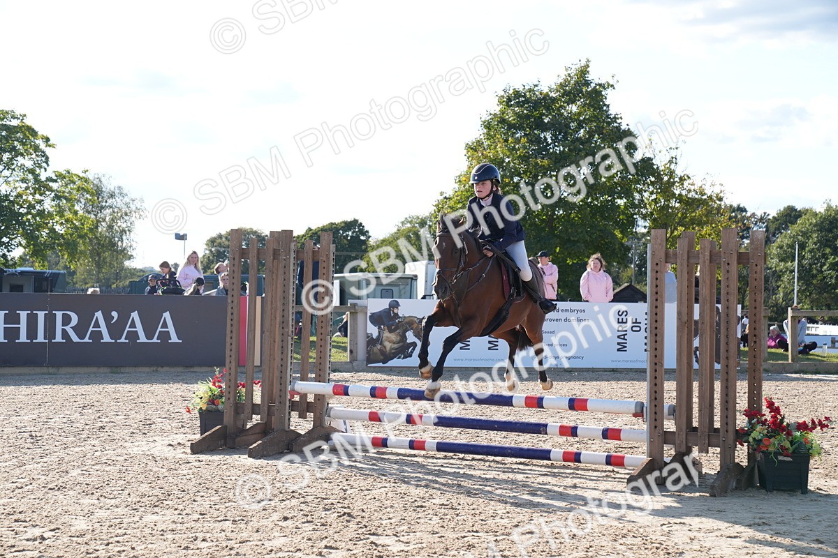 SBM_27955 - J43 - Super Speedy Scurry Open - 60cm