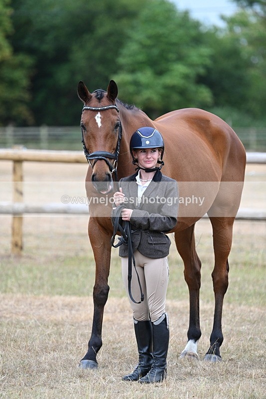 WJ7_9924 - Class 5a Most Handsome Gelding (above 14.2hh)
