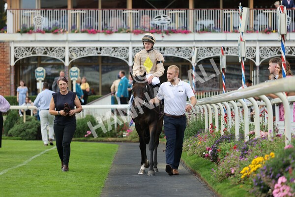 yr04092022r7-33 - Race 7 5.15pm Firmament Stakes