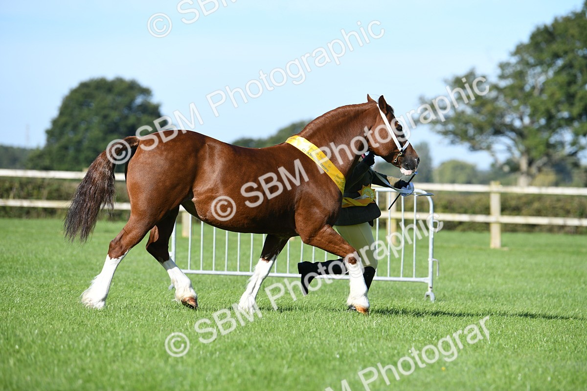 SBM_35560 - Top Turnout Supreme Championship