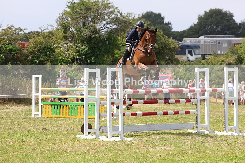 3E7A3424 - Class 10: Senior Foxhunter/1.20 open