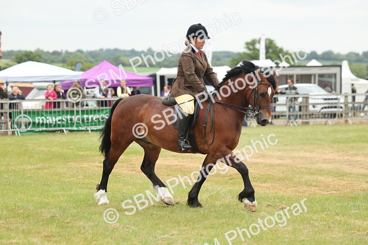 SBM_07195 - Class 76-77 - Ridden M&M Welsh Ponies