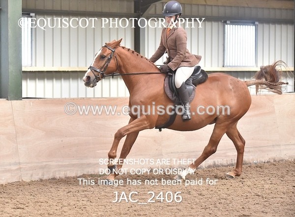 JAC_2406 - CLASS 3 Intermediate Working Hunter