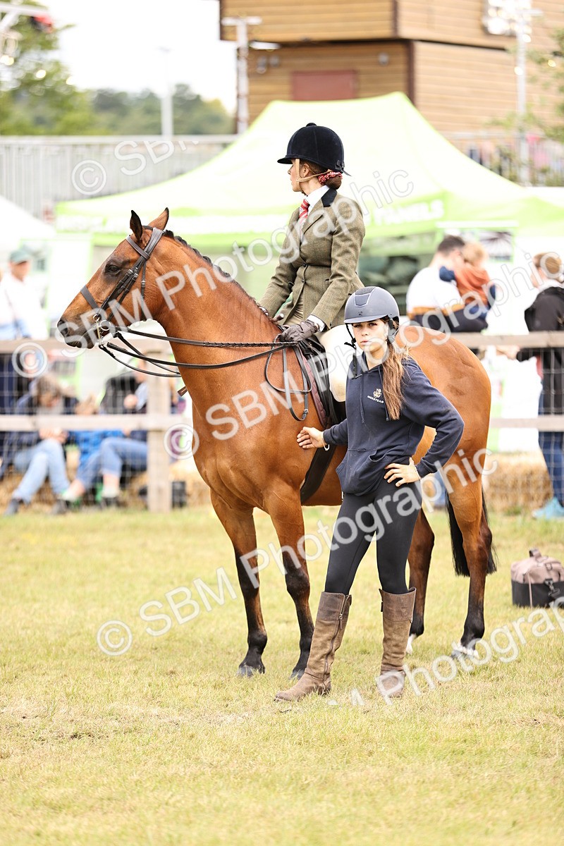 SBM_14625 - Class 88-89 - LIHS BSHA Rising Star of Ridden Hunter Type