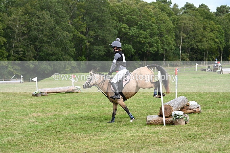 WJ7_8868 - 60cm Time 12:31 to 12:50