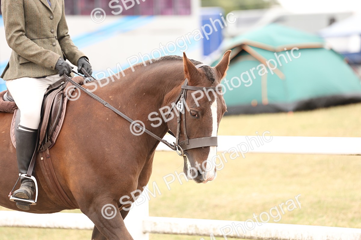 SBM_19487 - Class 215 - Ridden Show cob