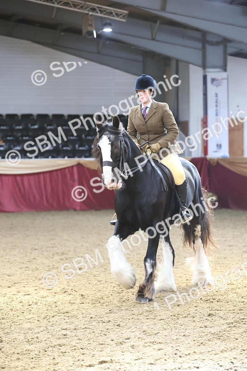 SBM_23805 - class 906 - Supreme Final - Ridden Pre Vet