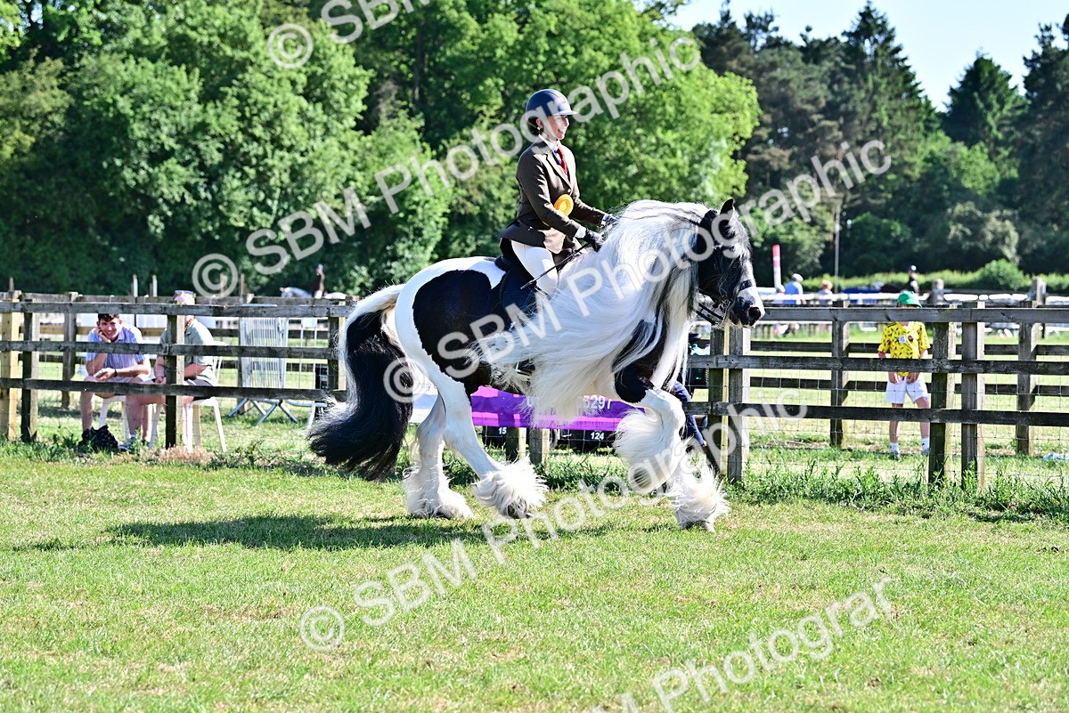 SBM_19473 - Class 101-102 - BSPS LIHS Performance Coloured Horse/Pony