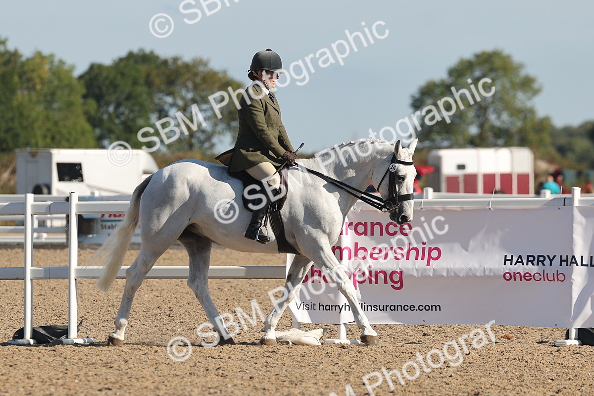SBM_12206 - Class 303 - Ridden Pure Bred Horse Pony