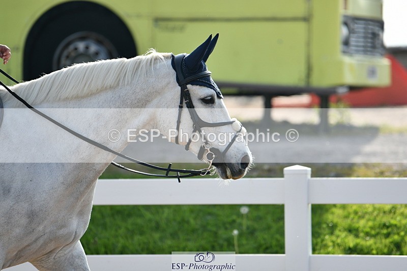 240511A-081200-10497 - Cls 27 85cm National Am Quali