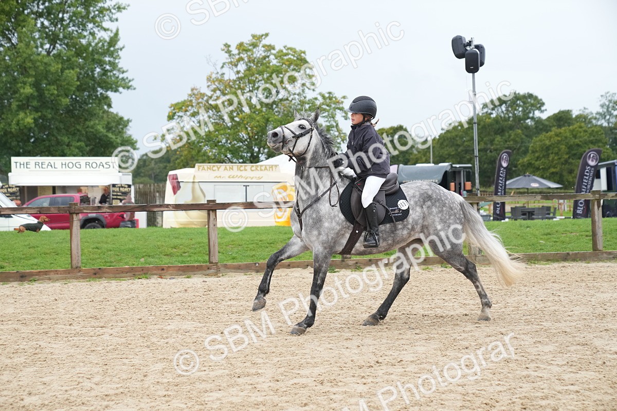 SBM_01453 - J54 - Clear Round 50cm