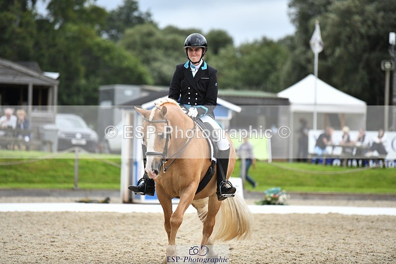 230812-142826-04705 - Cls 7 FEI PSG Bronze