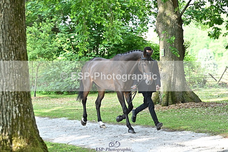 250521A-164300-01293 - C-255-Rupert.Hyde-LEONIDAS.VAN.DE.CRUMELHAEVE