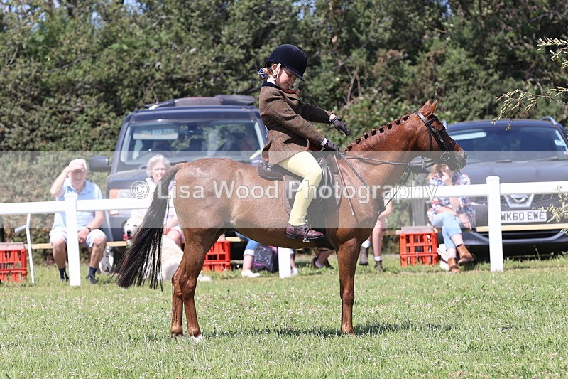 JPP_2363 - Class 20: Tiny Tots Working Hunter Pony