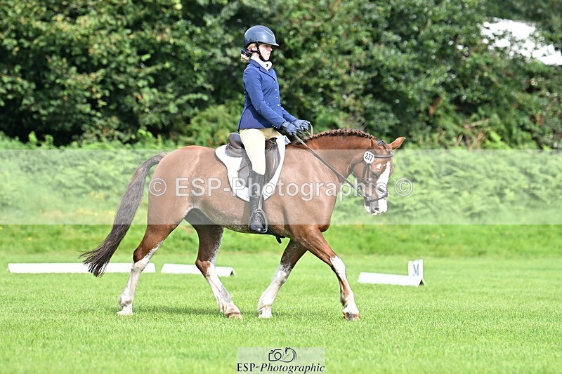 230826-100606-16368 - Sections A & B 10 to End