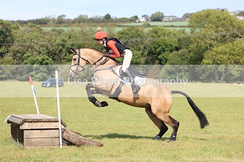 3E7A6660 - Class 1: Trebudannon Open: Pheasant Feeder