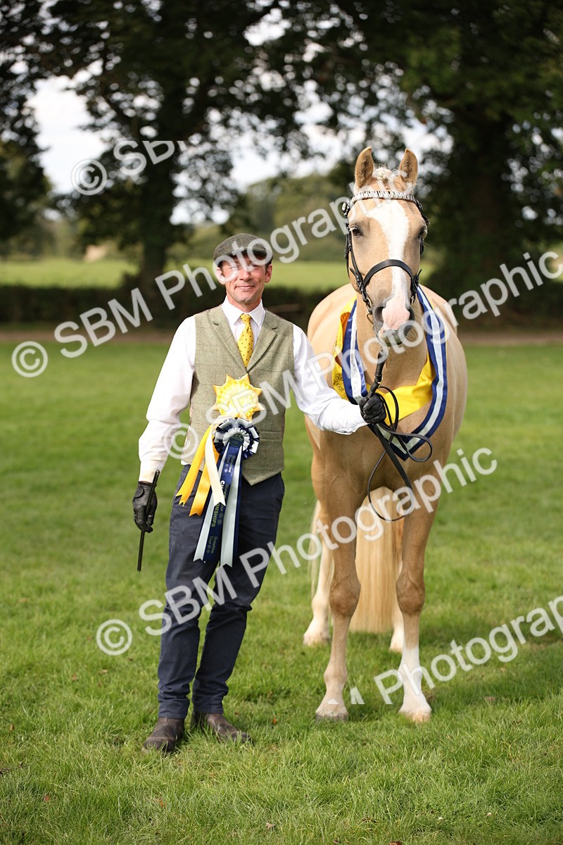 SBM_62957 - In Hand Horse Supreme Championship