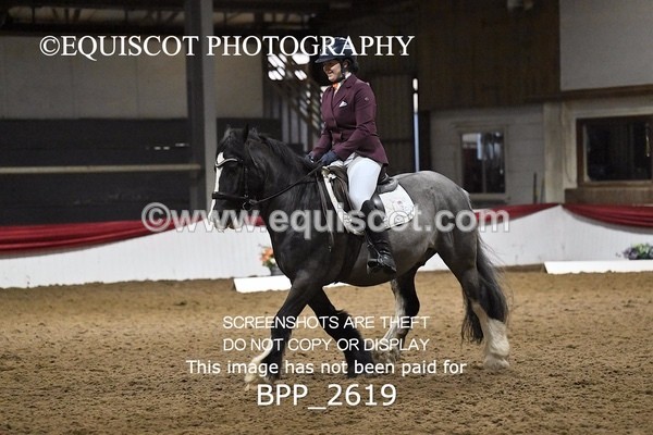 BPP_2619 - MFS PRELIM