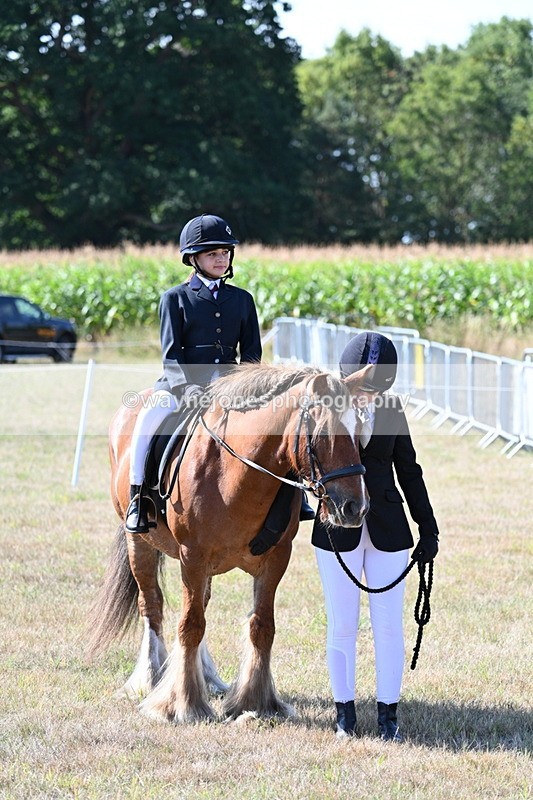 WJ7_3172 - Class 8 Ridden Tack & Turnout