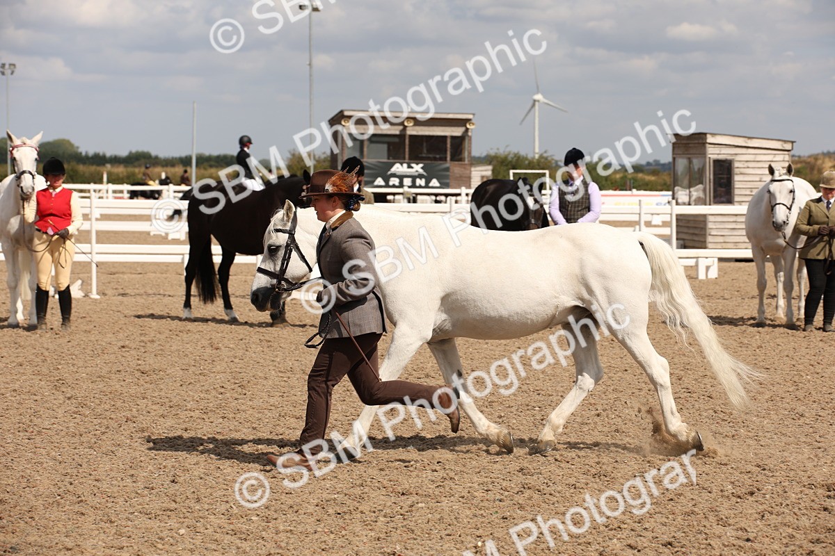 SBM_04592 - Class 20 IH Veteran