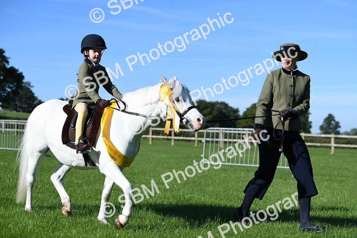 SBM_35509 - S17 - Condition & Turnout - Lead Rein