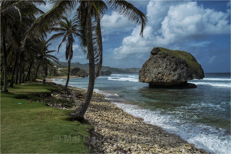 Bathsheba - Carribean Islands