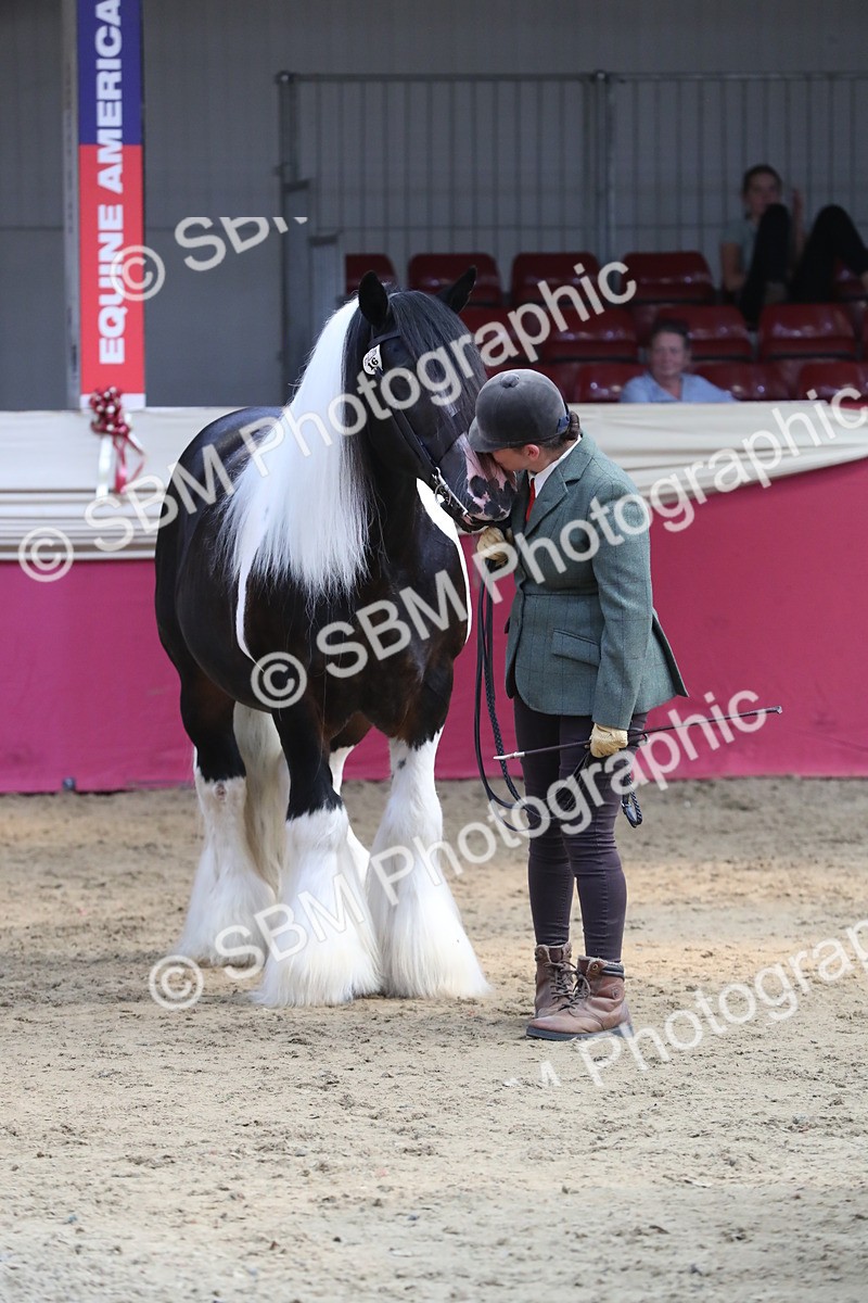 SBM_06559 - Regional IH Champ