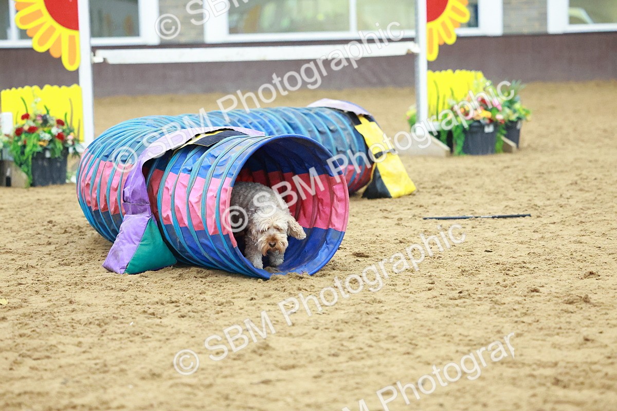 SBM_002353 - Class 3 - Horse & Hound (60cm)