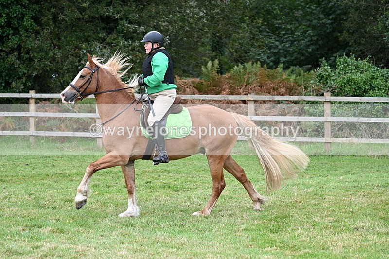 WJ7_7816 - 40cm Time 10:49 to 11:18