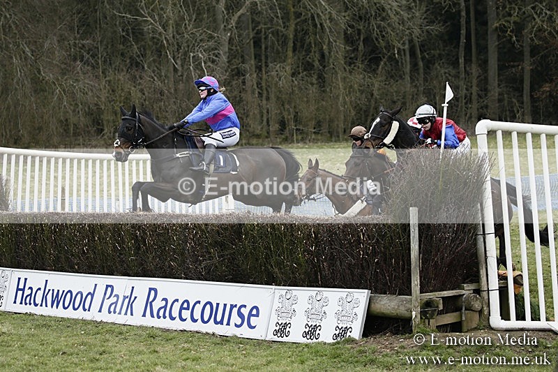 PtP 110318 137 - Hampshire Hunt Point-to-Point Hackwood Park 11/03/18