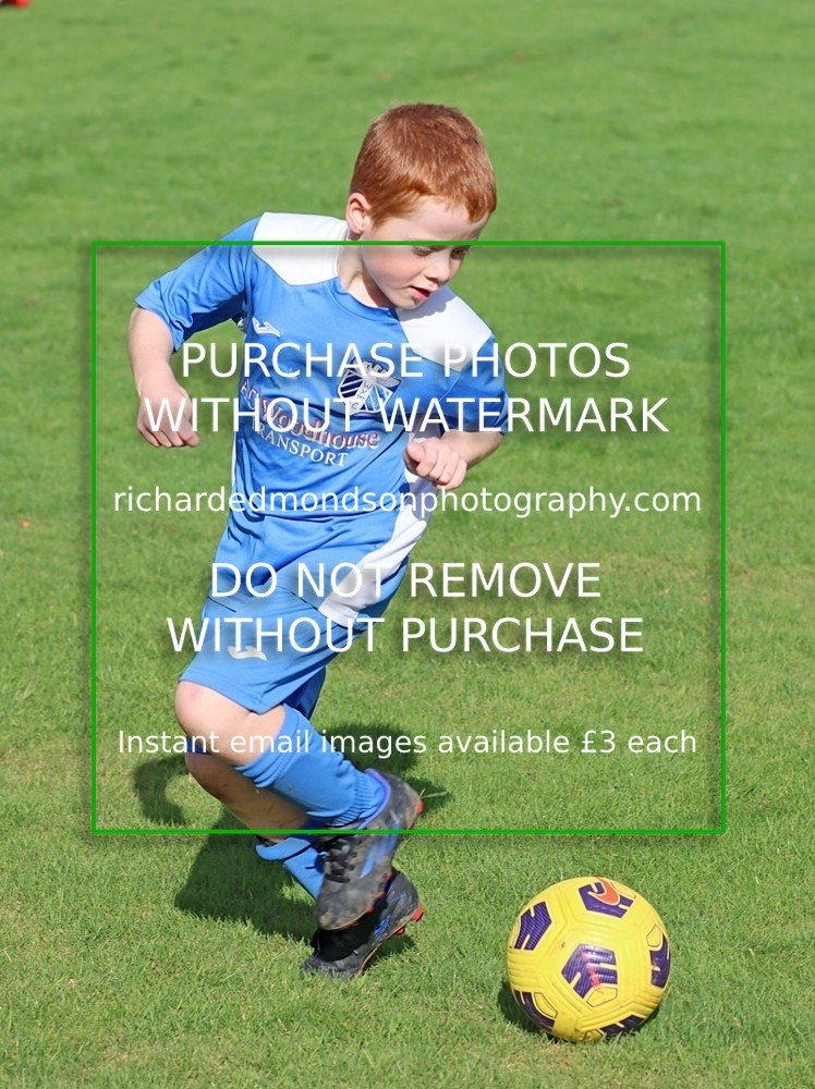 IMG_7701 - Wattsfield Under 8 v Kirkby Stephen Under 8 (8/10/22)