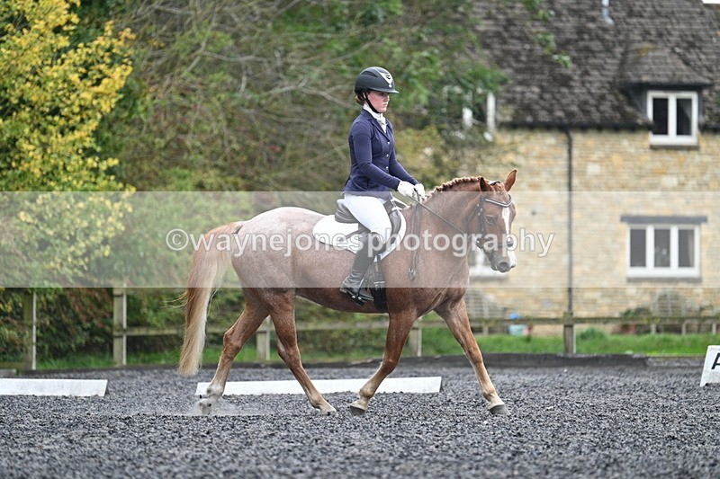 WJ7_3699 - Time 11:04 to 11:38