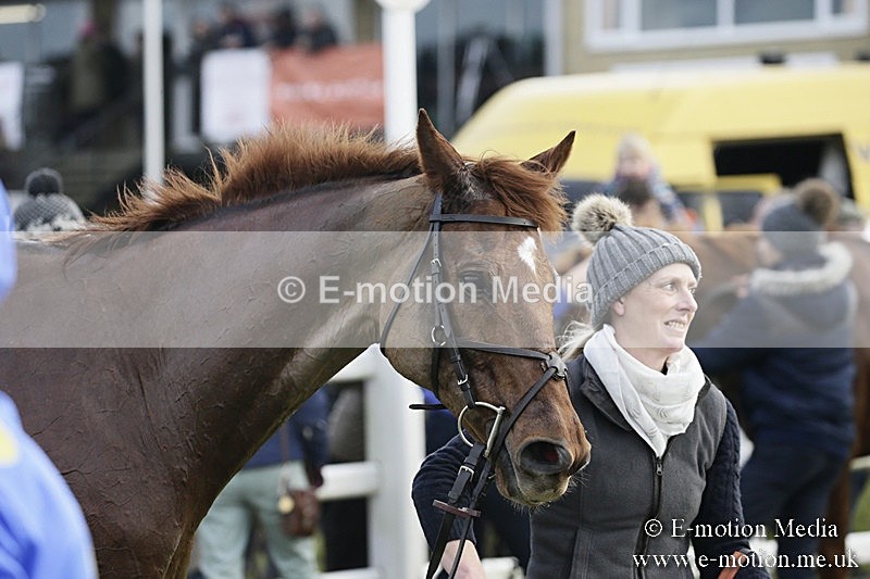 PtP 031217 531 - Hursley Hambledon Point-to-Point Larkhill 03/12/17