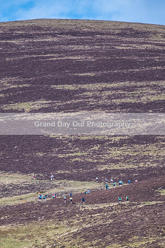 Black Combe-474 - Black Combe Fell Race Saturday 8th March 2025