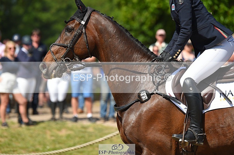 230528-103316-15013 - 263-CARWARTHEN_HARRIER-Polly_Muirhead-SJ