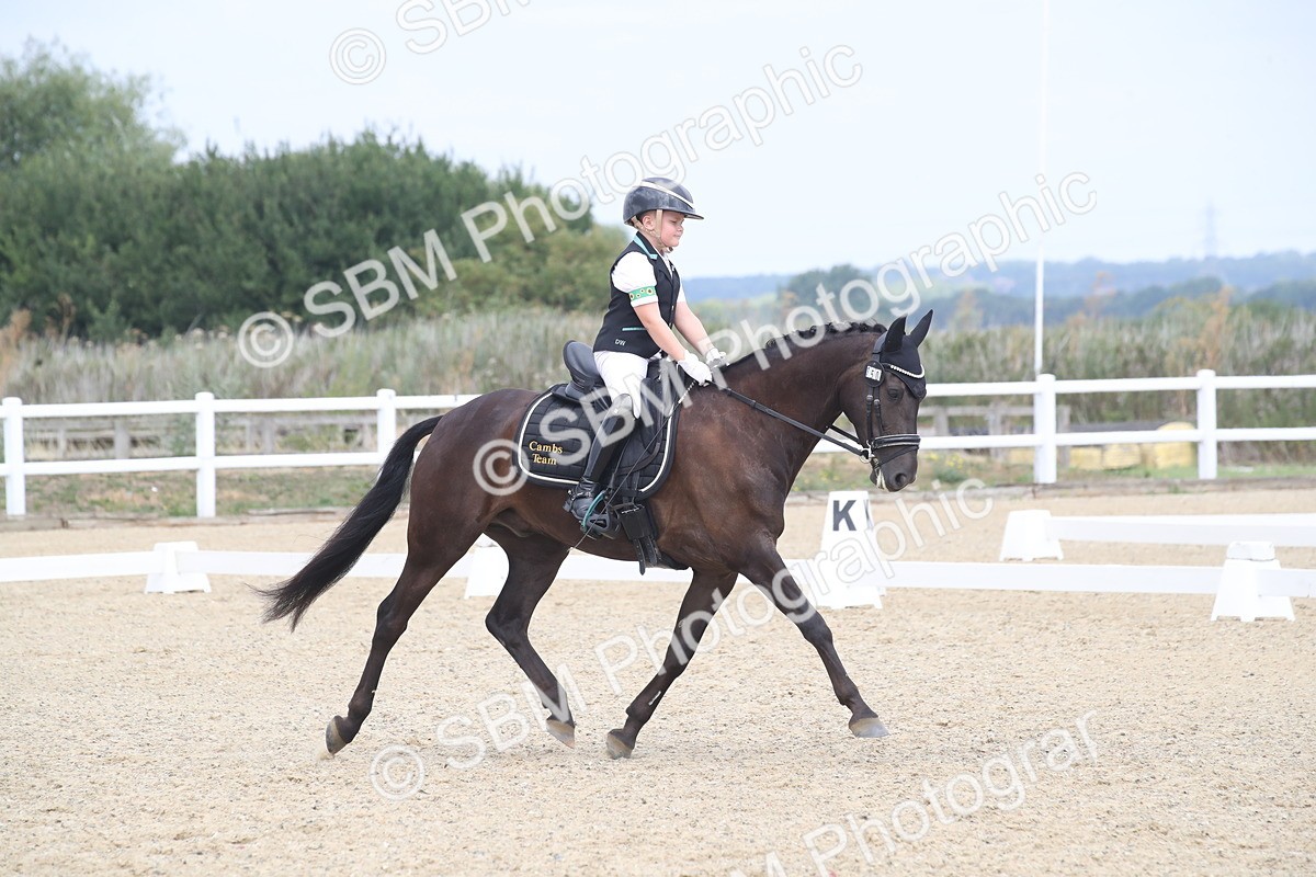 SBM_006738 - Novice 5 - 10.56-13.12